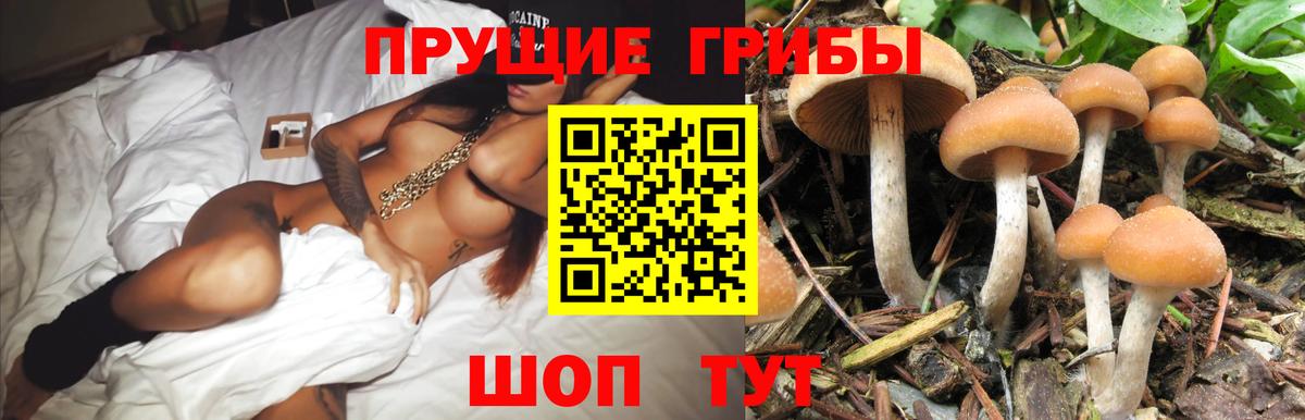 Великий Новгород  Псилоцибиновые грибы Magic Shrooms  Вход с VPN  Галлюциногенные грибы MAGIC MUSHROOMS 