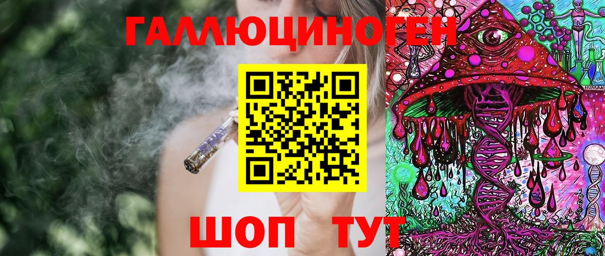 Псилоцибиновые грибы Cubensis Великий Новгород